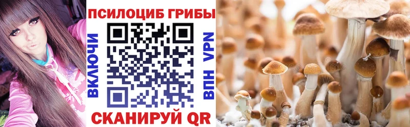 Галлюциногенные грибы мухоморы  Черноголовка 